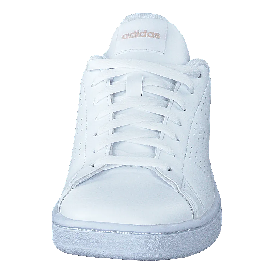 Adidas Advantage Ftwwht/ftwwht/wontau