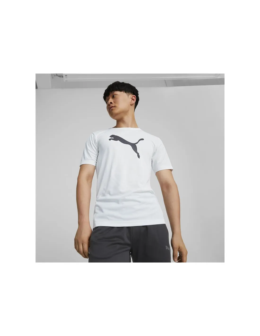 Camiseta de Fútbol Puma Individualrise Logo Hombre