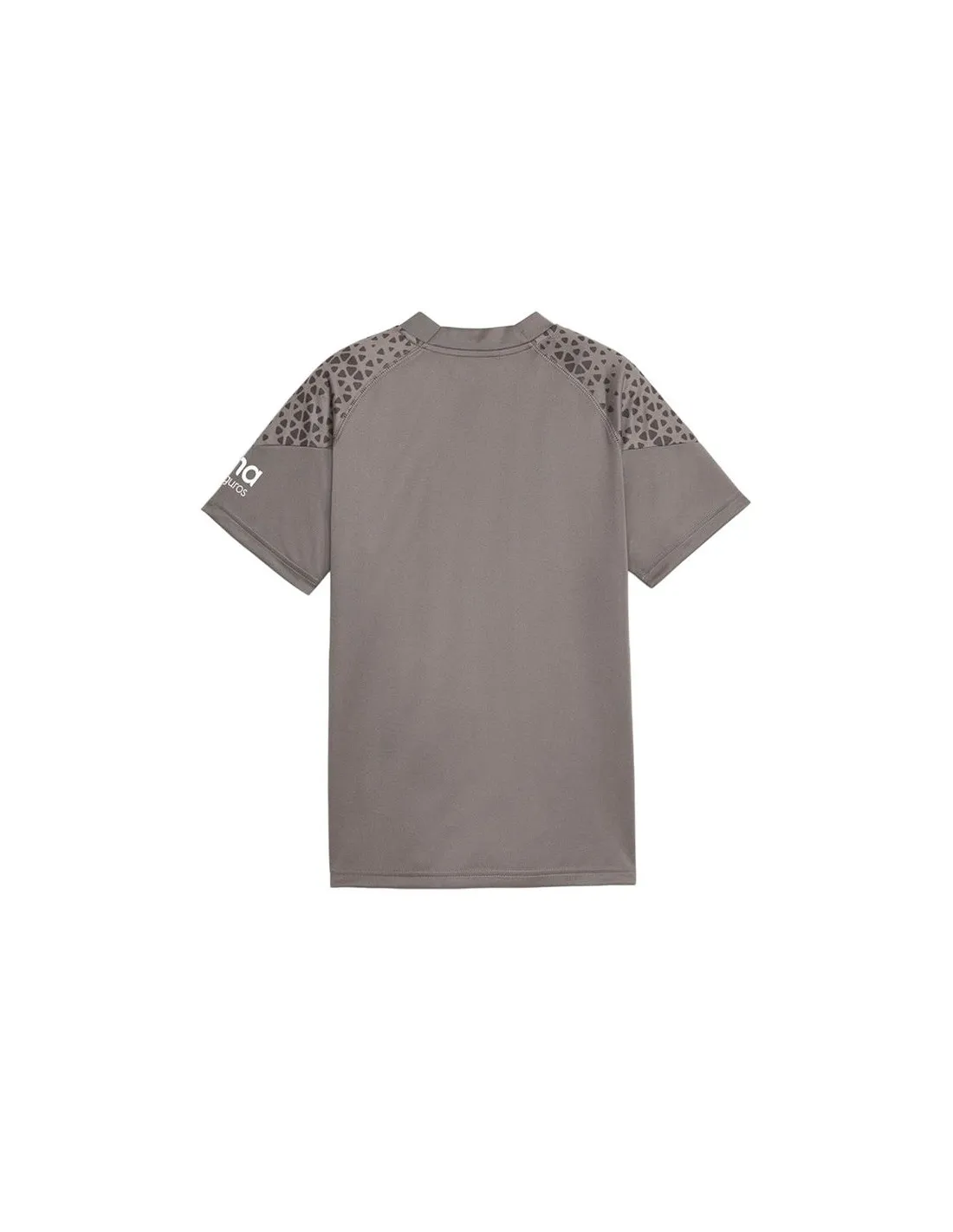 Camiseta de Fútbol Puma Vcf Training Hombre