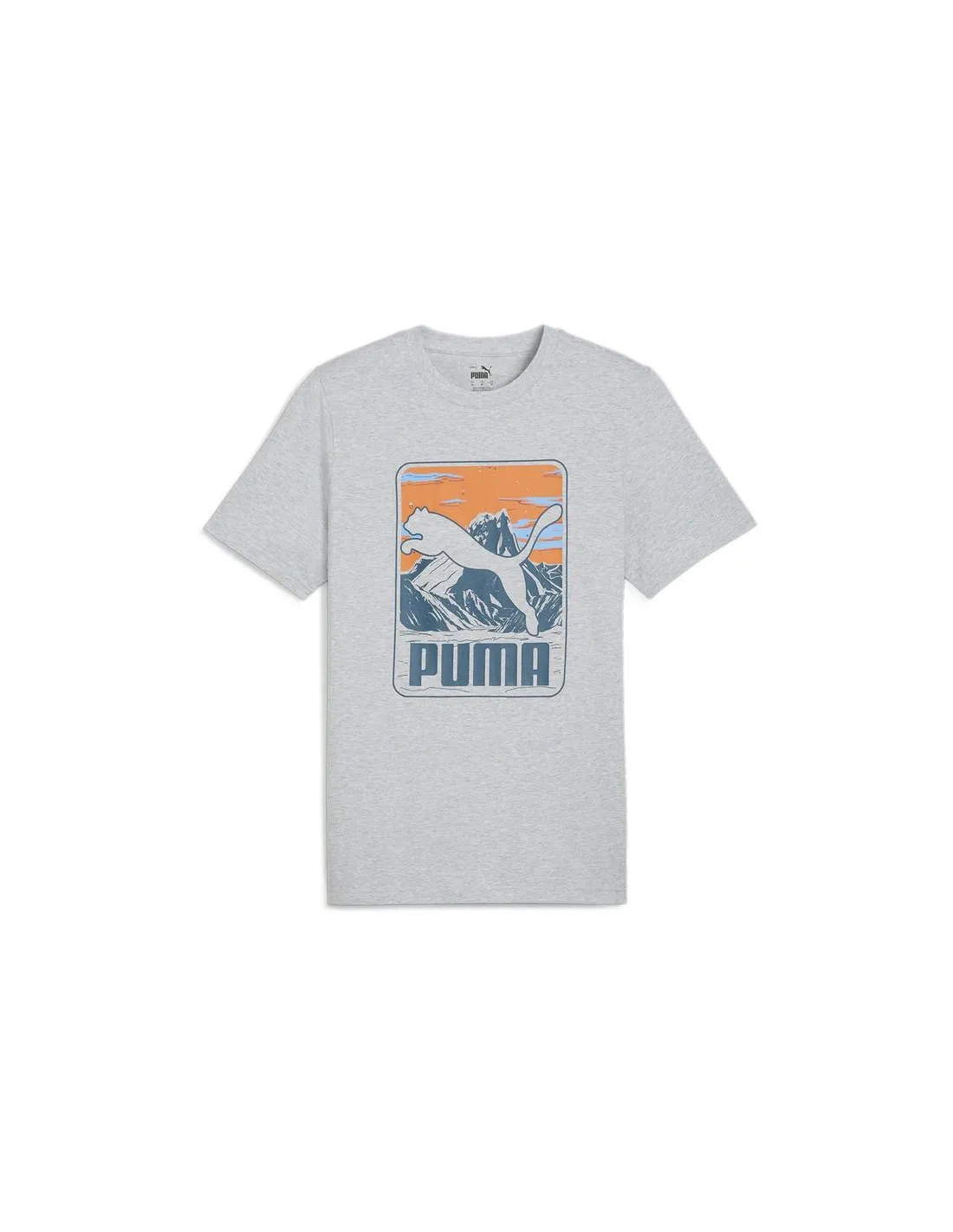 Camiseta Puma GRAPHICS Mountain Gris Hombre