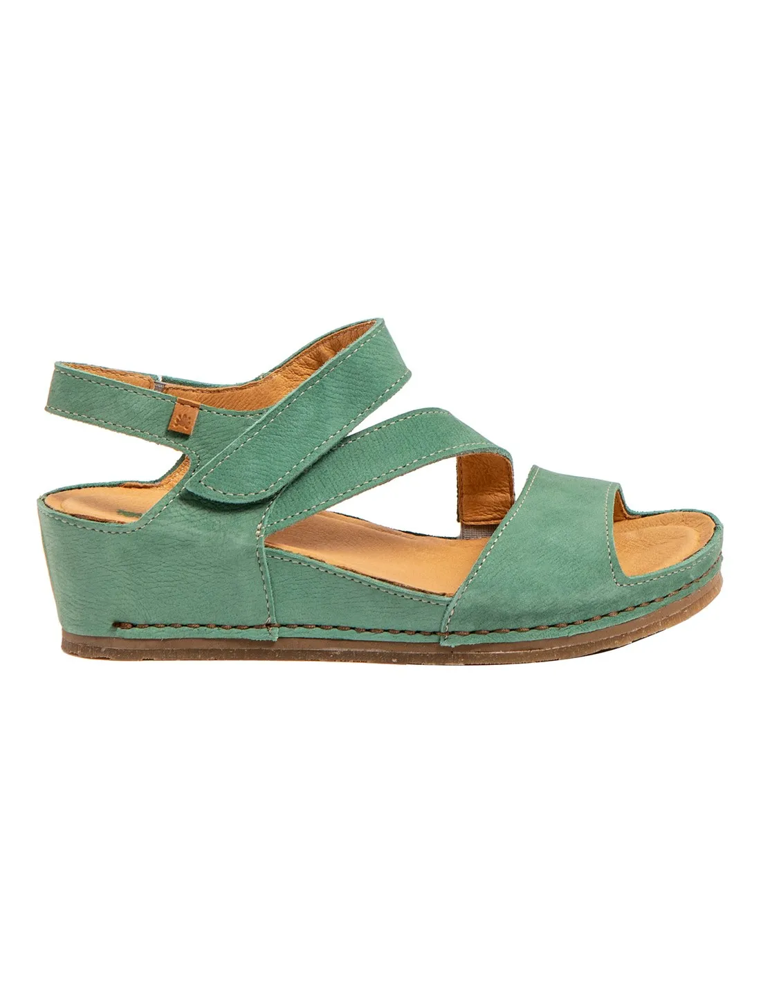N5852 PICUAL, El Naturalista
