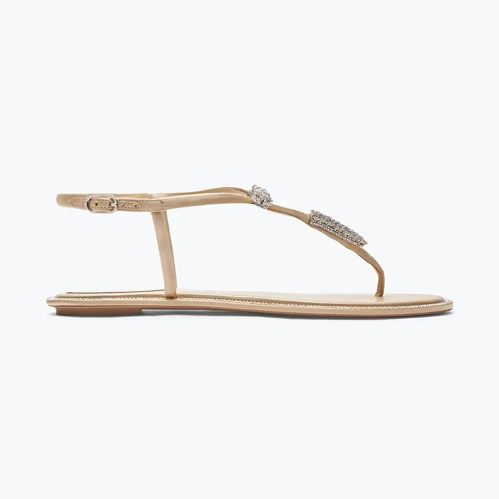 Rene Caovilla Sandalia De Tanga Serpente Desnuda Mujer 10 C12048010R001V104